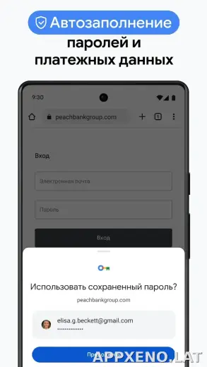Google Chrome скриншот 6